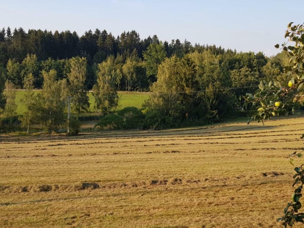 Ferienhof Loew Salzweg Extérieur photo