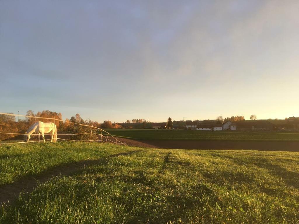 Ferienhof Loew Salzweg Extérieur photo